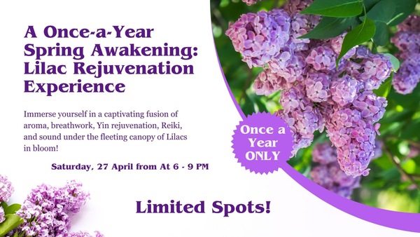 Bloom and Rejuvenate: An Exclusive Lilac-Laden Healing Journey